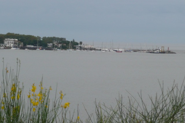 P1030697